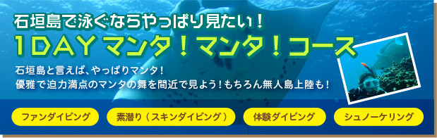 石垣島で泳ぐならやっぱり見たい！１DAY マンタ！マンタ！コース
