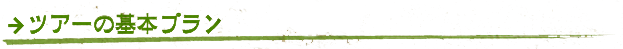 ツアーの基本プラン